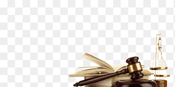 Personal injury lawyer Solicitor Legal advice, lawyer, people, law Firm png thumbnail