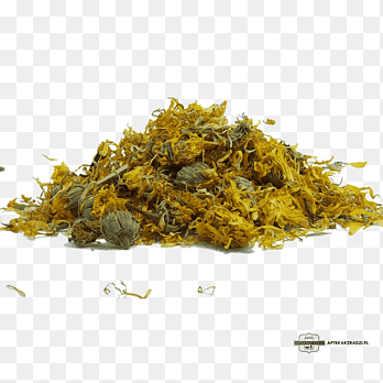 Teh Calendula officinalis Terapi Herbalisme, marigold, makanan, Teh herbal png thumbnail