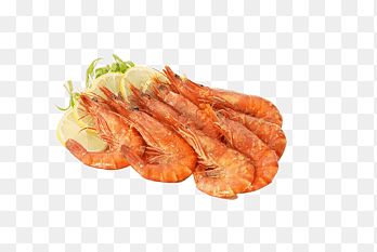 Caridea Bratwurst Shrimp, Delicious garnalen, dierlijke Source Foods, dieren png thumbnail
