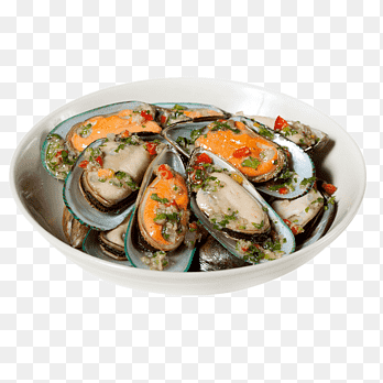 Clam Mussel Sashimi Seafood Perna viridis, Shell-functies, dierlijke Source Foods, karakteristiek png thumbnail