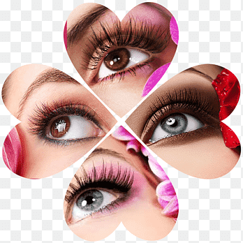Eye Shadow Eyelash Eyebrow Cosmetics, Eye, face, people png thumbnail