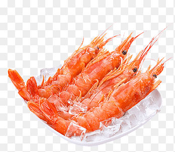 Zeevruchten Garnalen Pleoticus muelleri JD.com Goederen, garnalen, dierlijke Source Foods, dieren png thumbnail