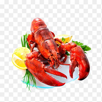 Kreeft krab zeevruchten, diner plaat van rivierkreeft, Adobe Illustrator, Amerikaanse kreeft png thumbnail