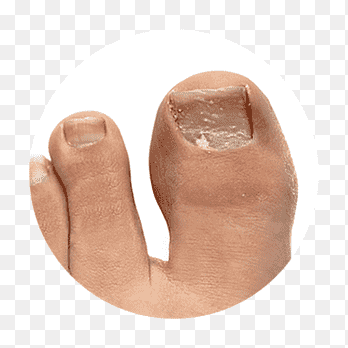ظفر png