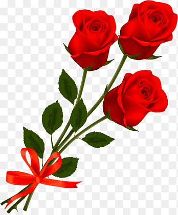 tres rosas, rojo, verde png thumbnail