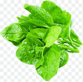 Choy sum Malabar spinazie Bladgroente, groente, pak Choy, snijbiet png thumbnail