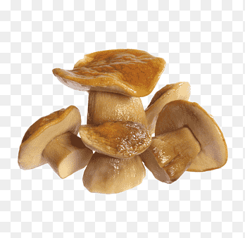 Bestandsindelingen voor champignons, Gekookte champignons, chefkok, gekookt png thumbnail