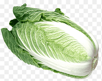 Napakool Malatang Chinese keuken Groente, a-kool, brassica Oleracea, kool png thumbnail