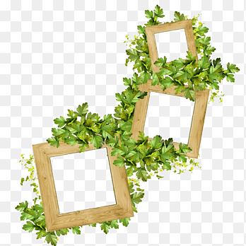 Saint Patrick's Day Frames grapher, bloemen in trossen, mededelingenbord, Bloemdessin png thumbnail