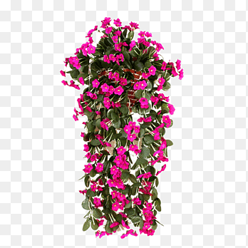 violet orchid hanging, hanging flower, decorative flower png thumbnail