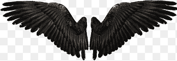 Angel YouTube, Devil Wings, black wings, monochrome, chicken Wings png thumbnail