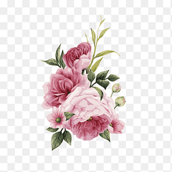 Garden roses Centifolia roses Floral design Cut flowers Flower bouquet ...