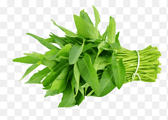 Groene papajasalade Saag Water spinazie Bladgroente, groente, basilicum, Chili peper png thumbnail