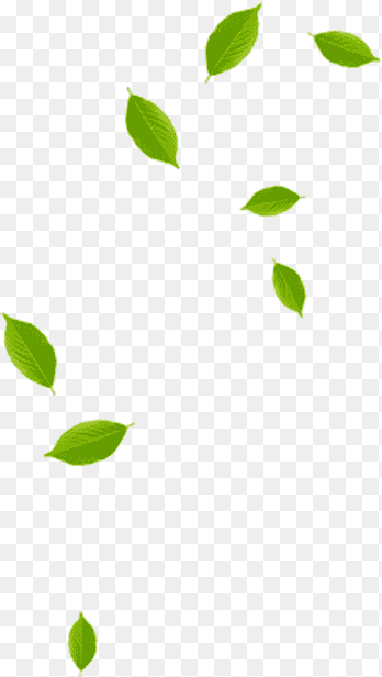 hoja de arte, hoja verde patrón, hoja, ángulo, hoja png thumbnail