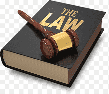 Criminal defense lawyer Criminal law Legal aid, lawyer, people, law Firm png thumbnail