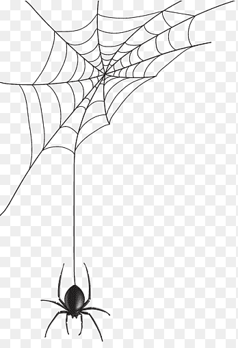 Spider web, Spider Web, angle, white png thumbnail