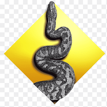 Programming Python Learning Python: Powerful Object-Oriented Programming Samouczek Pythona, książka, książka, budować png thumbnail