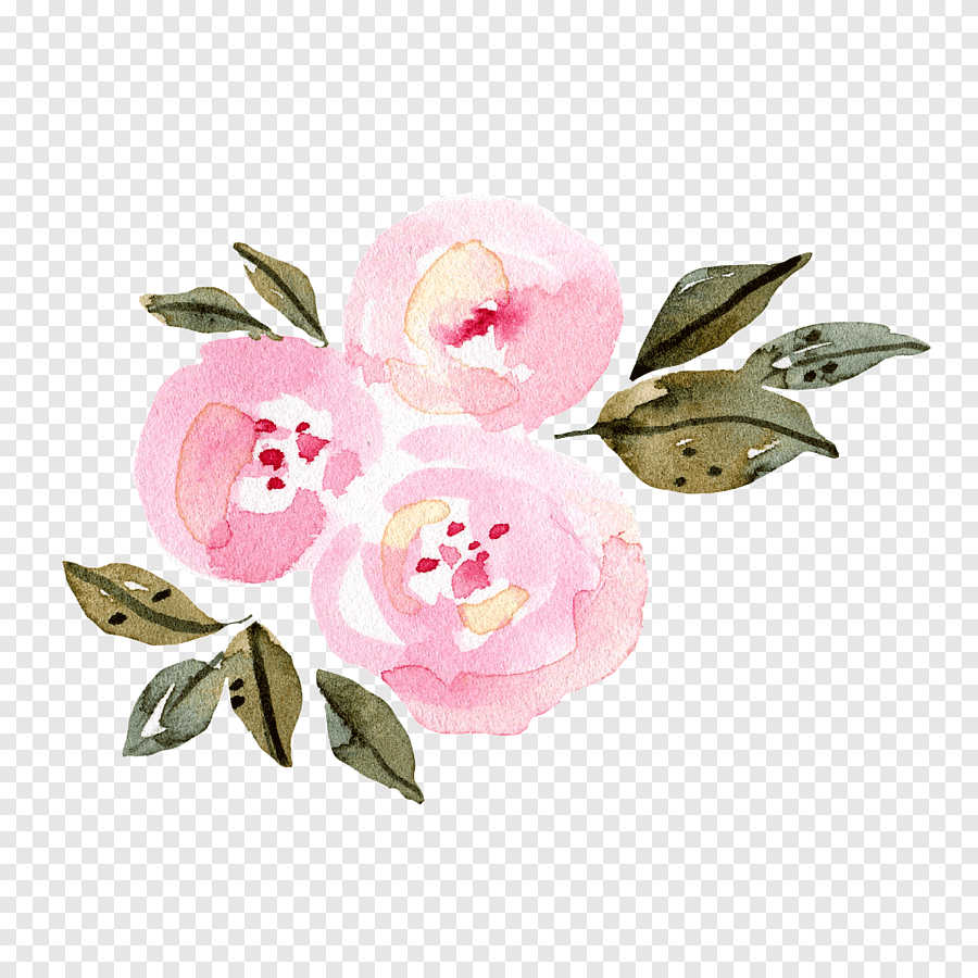 fleurs-fleurs-roses-aquarelle-peinture-oeuvre-floraison-nature