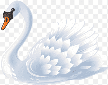 Mute swan Bird Black swan, birds, animals, heart png thumbnail