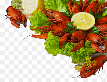 Kreeft Caridea Cajun keuken Garnalen Zeevruchten, Garnalen, dierlijke Source Foods, dieren png thumbnail