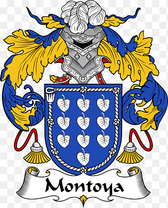 escudo de armas camiseta apellido, camiseta, logo, proteger png thumbnail