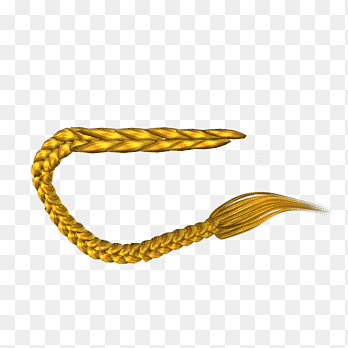 Paardenstaart kapsel, bigote, onverdraagzaamheid, trossen png thumbnail