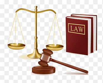 Law firm Lawyer Practice of law Legal practice, lawyer, people, business png thumbnail