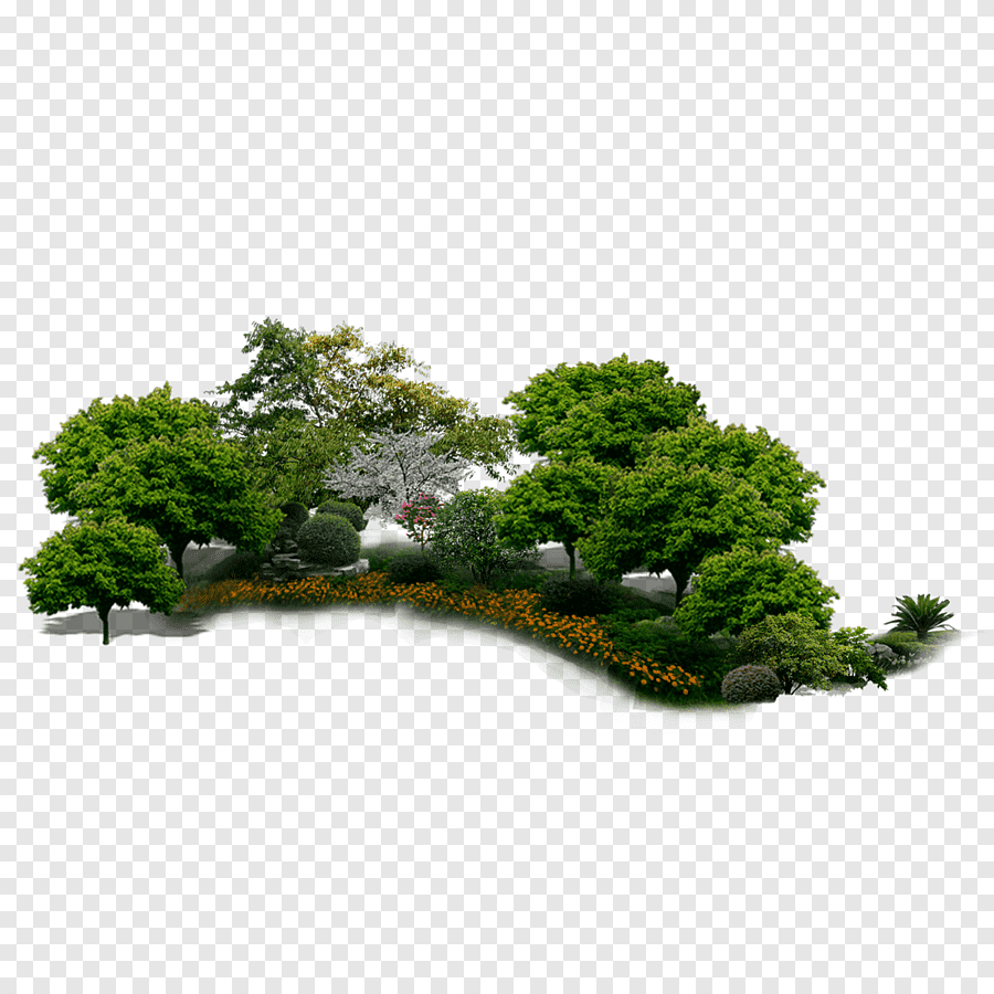 Flowers and trees png images | PNGEgg