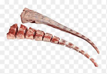 Ossenstaart Rundvlees Angus vee Lam en schapenvlees Soep, Weiland Gevogelte, Angus vee, dierlijke Source Foods png thumbnail