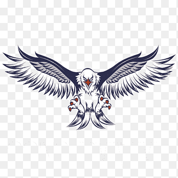 eagle illustration, Bald Eagle White-tailed Eagle, gunfare, animals, logo png thumbnail